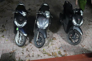 Hai ngày, thực hiện 7 vụ trộm, 2 đối tượng bị bắt giữ