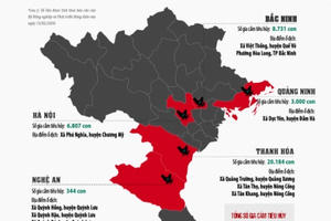 Infographics - Dịch cúm gia cầm A/H5N6 xuất hiện tại 5 tỉnh, thành phố của Việt Nam