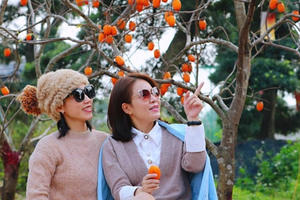 Dự báo thời tiết 9/1: Hà Nội nhiều mây âm u, mưa nhỏ ngày đầu tuần