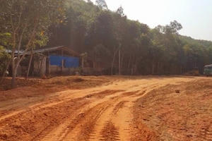 Tuyên Quang: Một nhà thầu thi công tại dự án trăm tỷ đổ đất thải trái quy định, cần được xử lý nghiêm