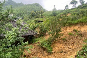 Từ đầu năm Cao Bằng thiệt hại hơn 176,7 tỷ đồng do thiên tai