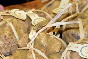 Những món ăn đắt đỏ chỉ dành cho giới siêu giàu