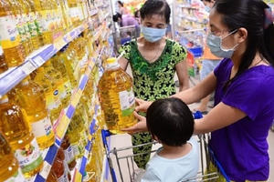 Bão giá càn quét, Phó Thủ tướng chỉ đạo 'nóng'