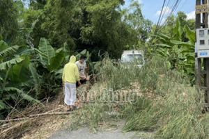Vì sao người dân chưa đồng thuận về dự án Kho cảng tổng hợp Petro Bình Minh ở huyện Việt Yên?