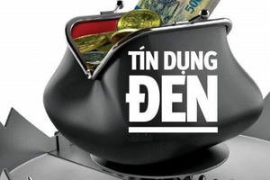 Triệt phá chuyên án, bắt giữ 11 đối tượng hoạt động "tín dụng đen" và tổ chức đánh bạc