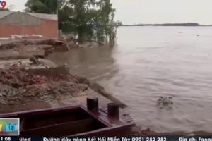 Người dân tỉnh Vĩnh Long vẫn sinh hoạt trên vùng đất sạt lở