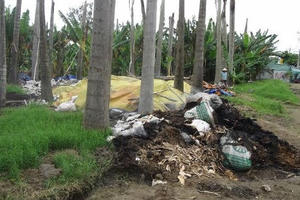 Cần Thơ: Công ty bột mì xử lý rác theo kiểu “trá hình” Cần Thơ: Công ty bột mì xử lý rác theo kiểu “trá hình”