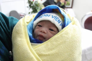 Niềm vui hân hoan đón những chú "khỉ nhí" đầu tiên của năm Bính Thân