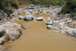 Nhức nhối nạn "vàng tặc" ở Quảng Nam