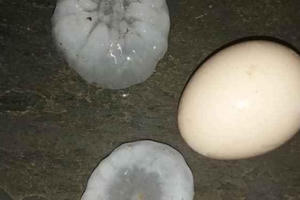 Lào Cai: Mưa đá "khổng lồ" như quả trứng, nhiều kính ô tô bị đập vỡ trong đêm