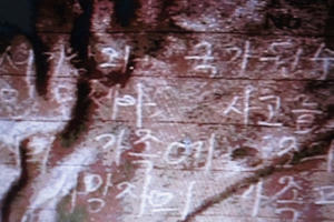 Manh mối nắm tro tàn và hành trình phá án vụ người nước ngoài giết nữ sinh đốt xác