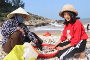 Người dân Kỳ Anh vớt "lộc" biển đầu năm
