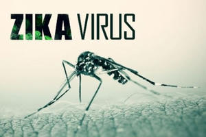 Ghi nhận ca nhiễm virus Zika đầu tiên ở Vĩnh Long