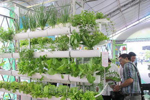 TP HCM mở rộng vùng sản xuất phát triển giống và nông nghiệp công nghệ cao