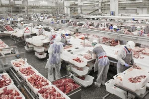 Tin kinh tế 10AM: Thịt lợn Nga ồ ạt về Việt Nam; Chevrolet Trailblazer lại giảm gần 200 triệu đồng