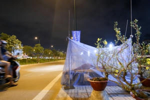 Dựng lều, mắc màn canh hoa Tết trên vỉa hè Sài Gòn