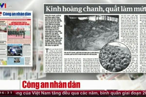 Kinh hoàng chanh, quất tẩm mứt Tết