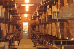 Khánh Hòa: Xây nhà nuôi ong dú thu trên 300 triệu đồng/năm Khánh Hòa: Xây nhà nuôi ong dú thu trên 300 triệu đồng/năm