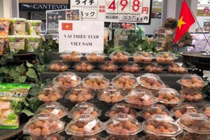 Bắc Giang: Mở rộng và khẳng định vị thế của trái vải thiều tại các thị trường lớn