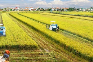 Đến năm 2030, phát triển vùng Đồng bằng Sông Cửu Long trở thành trung tâm kinh tế nông nghiệp bền vững