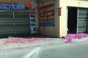 Xác pháo đỏ đường ở thị trấn Cồn, Hải Hậu