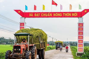 Sửa Bộ tiêu chí quốc gia về huyện nông thôn mới