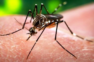 "Bóng ma" Zika trên toàn thế giới "Bóng ma" Zika trên toàn thế giới
