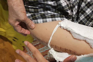 Vị hiệu trưởng đóng vai con lừa và hiệu trưởng gian dối