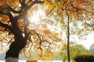 Dự báo thời tiết ngày 23/7: Kết thúc chuỗi ngày mưa, Hà Nội trở lại với cái nóng 35 độ