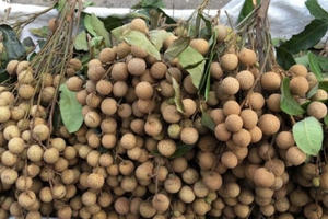 Tẩy trắng hoa quả bằng lưu huỳnh: Điều gì đáng sợ nhất?