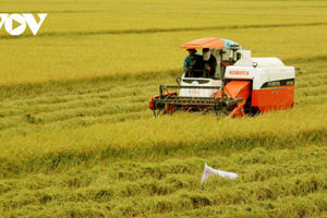 Nông nghiệp vượt qua "nguy cơ kép" hướng đến thị trường mới