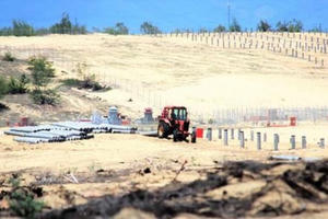 Nhà máy điện Mặt trời 'nuốt' rừng phòng hộ