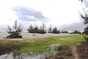 TT-Huế: Làm rõ trách nhiệm vụ hàng chục lô đất 'vàng' ven biển cấp trái phép cho cán bộ