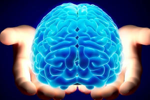 7 thói quen lặp lại mỗi ngày đang gây tổn thương nghiêm trọng đến não bộ