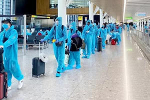 Việt Nam đã ghi nhận 31 ca nhiễm biến chủng Omicron