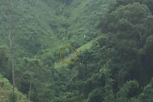 Cao Bằng: Sau khi vợ bị sát hại, tiếp tục phát hiện thi thể người chồng trong rừng