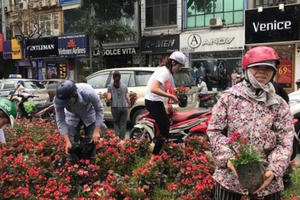 Cướp của công, dù chỉ 1 nhánh hoa, cũng nên phạt nặng!