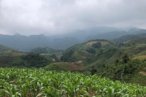 Gắn phát triển nông nghiệp nông thôn với quá trình công nghiệp hóa hiện đại hóa tại chỗ