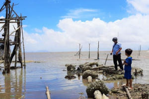 "Phòng chống sạt lở ở ĐBSCL cần thuận theo tự nhiên"