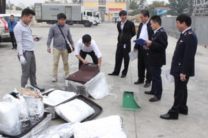 Thanh tra Chính phủ phối hợp với Tổng cục Hải quan bắt lô hàng chứa vẩy tê tê