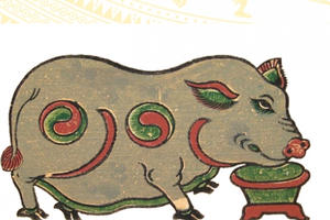 Đông y: Luận bàn về thịt lợn