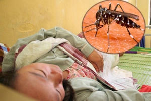 Việt Nam đơn độc chống sốt xuất huyết Việt Nam đơn độc chống sốt xuất huyết