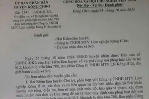Gia Lai: Chuyển cơ quan điều tra làm rõ vụ phá rừng trái phép tại huyện Kông Chro