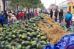 Chuyện bán dưa hấu của nhóm thiện nguyện trong cơn bão Covid -19
