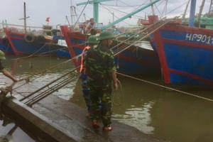 Hải Phòng: Chủ động ứng phó bão số 3