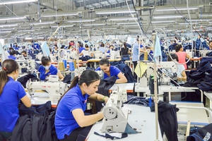 Trong thời gian thử việc, người lao động có được trả lương và hưởng bảo hiểm không?