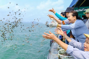 Góc khuất phóng sinh thời 'cô vi'