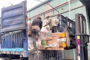 30.399 kg thực phẩm đông lạnh nhiễm vi sinh vật bị tiêu hủy