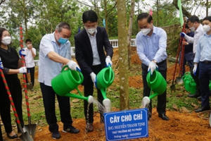 Bộ Tư pháp hưởng ứng Tết trồng cây năm 2022