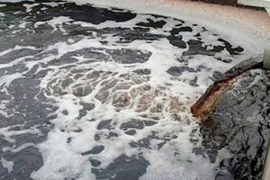 Xử lý nghiêm, dứt điểm các cơ sở, tổ chức gây ô nhiễm môi trường